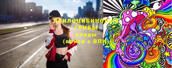 твердый Алексин