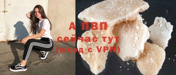 твердый Алексин