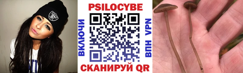 Галлюциногенные грибы Psilocybe Приморск