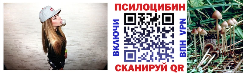 дарк нет состав  Приморск  Псилоцибиновые грибы MAGIC MUSHROOMS 